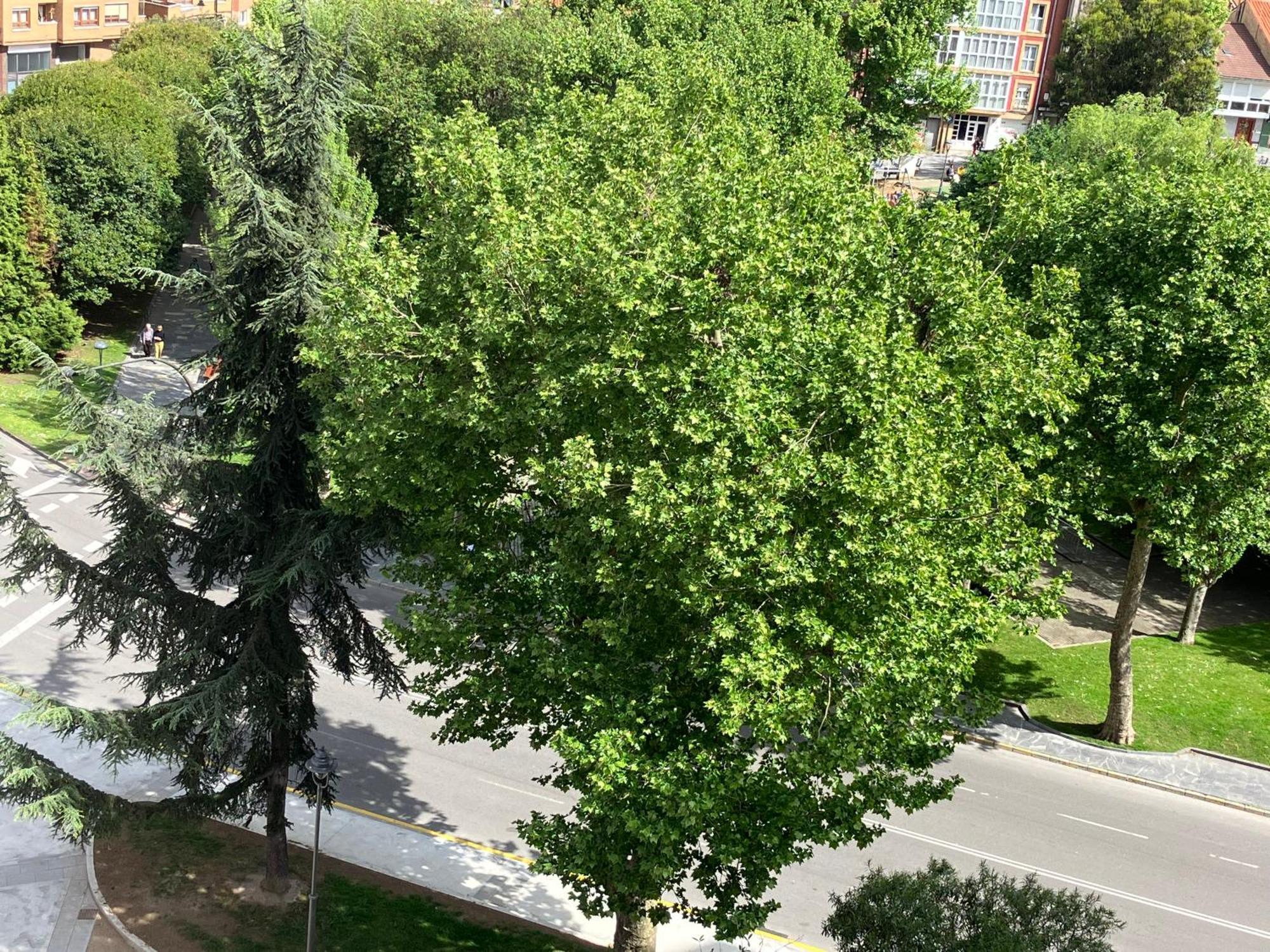 El Balcoen De Aviles, Acogedor Con Garaje En Centro Historico, Kültér fotó